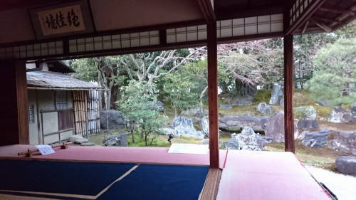 0009縮小.JPG