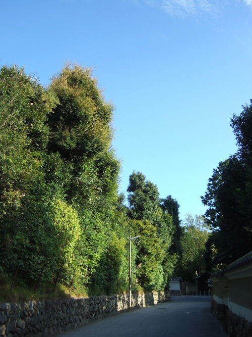 011.JPG