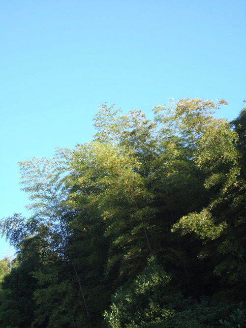 038.JPG