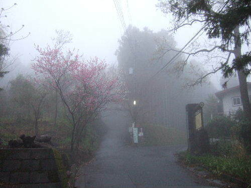 2008_0413miyanasansou0011s.JPG