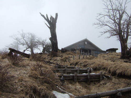 2008_0413miyanasansou0178s.JPG