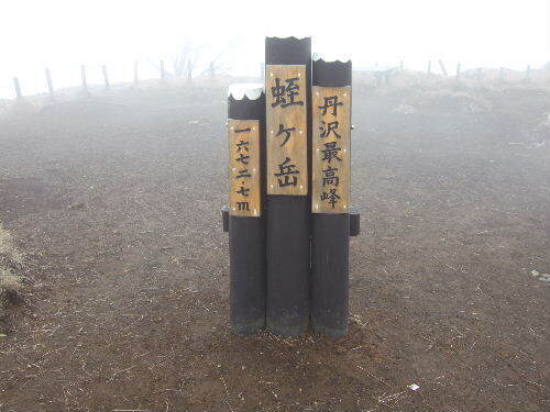 2008_0413miyanasansou0181s.JPG