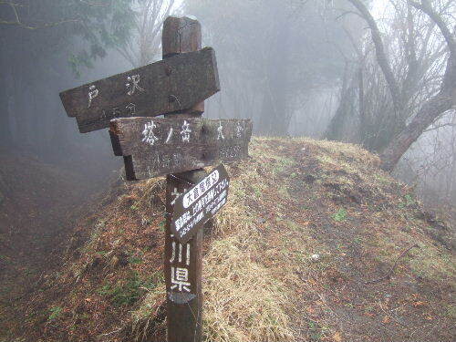 2008_0413miyanasansou0248s.JPG