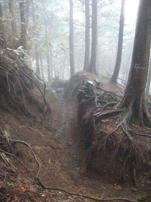 2008_0413miyanasansou0251s.JPG