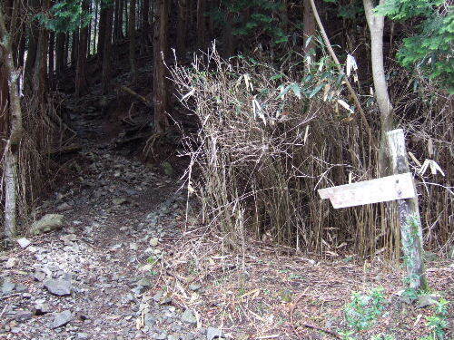 2008_0413miyanasansou0270s.JPG