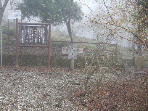 2008_0413miyanasansou0282s.JPG