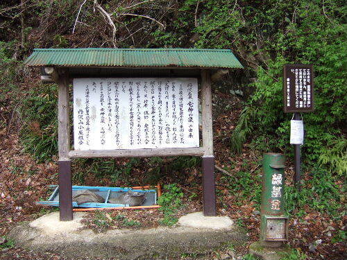 2008_0413miyanasansou0300s.JPG