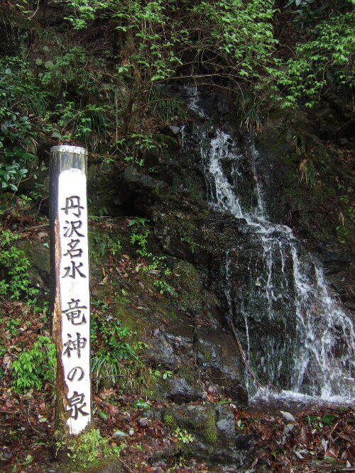 2008_0413miyanasansou0302s.JPG