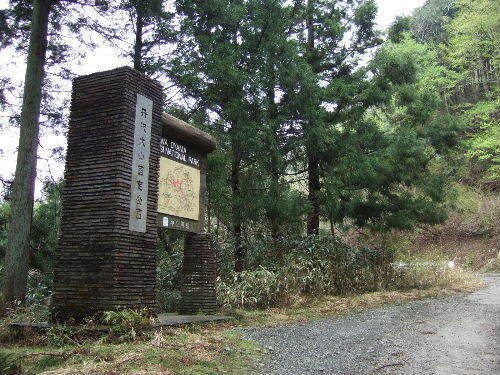 2008_0413miyanasansou0304s.JPG