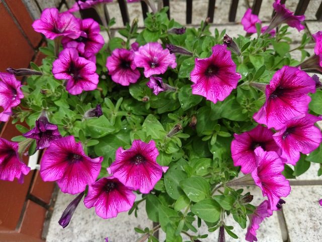 20220615_114111.JPG